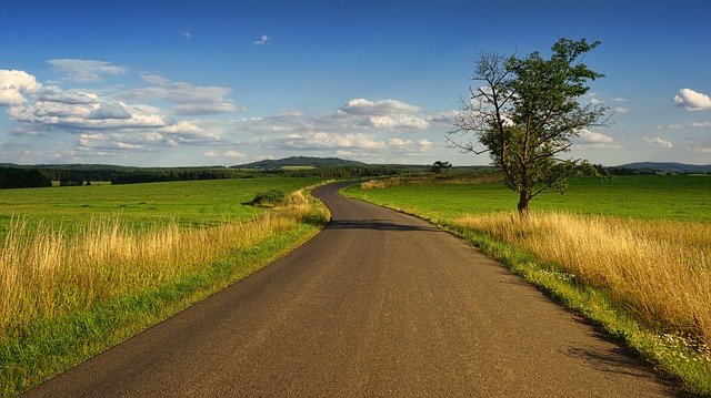 Jakie rośliny wykazują odporność na herbicydy?